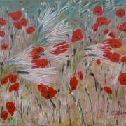 Coquelicots