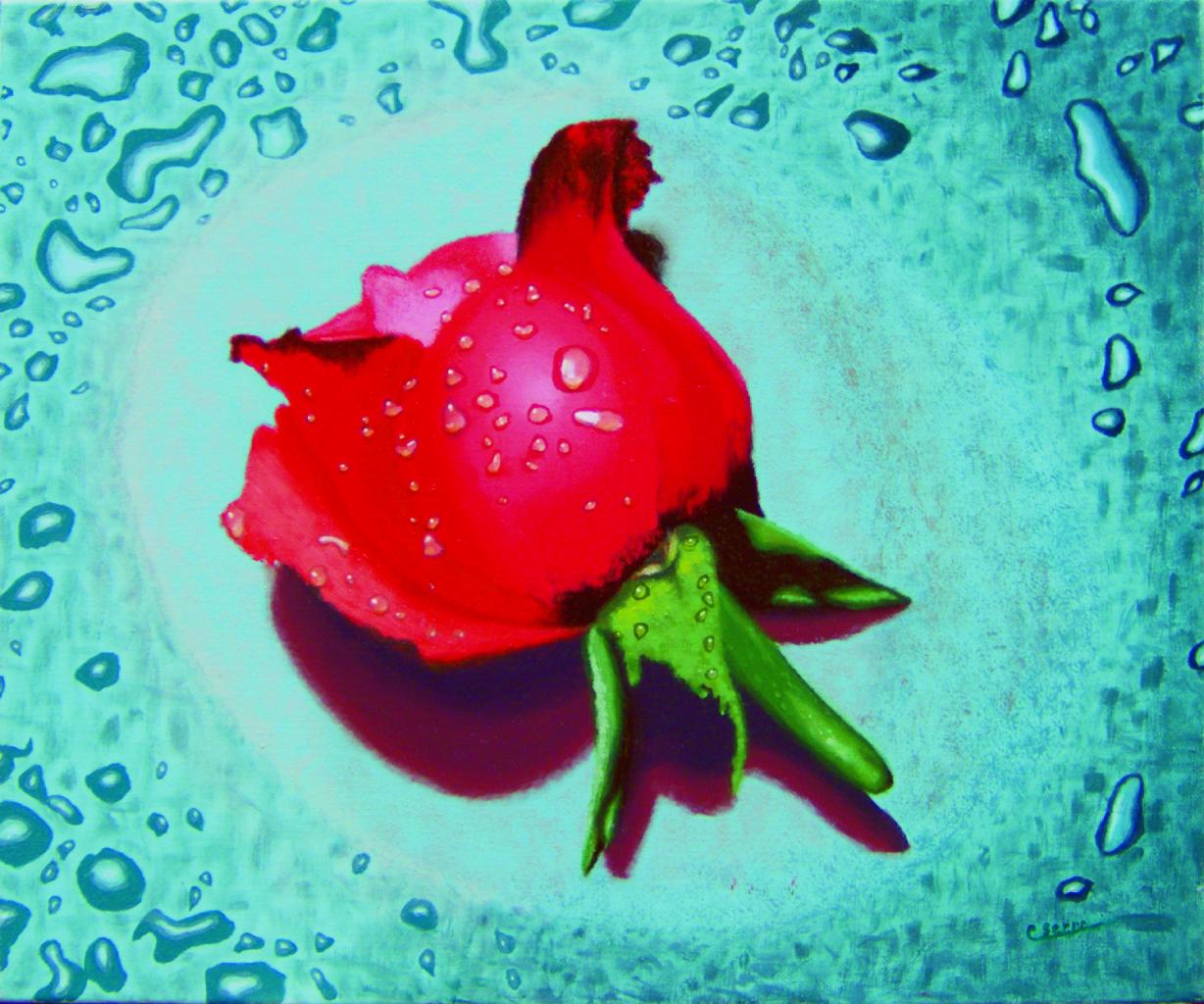 Rose rouge sur fond bleu et gouttes d'eau miroitantes